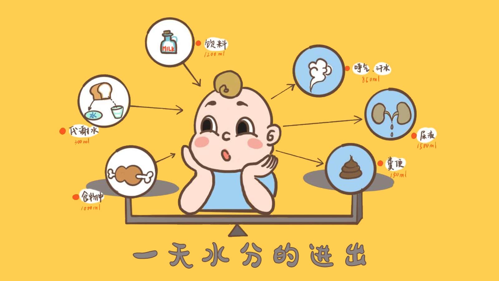 科学饮水：解锁身体的健康密码